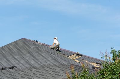 Professional Roof Inspection